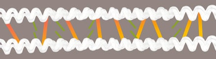 Keratine-ponts-hydrogene-rompus