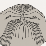 massage-pinCEMENT-crepu