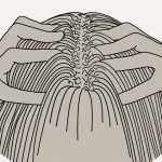 massage-quotidien-crepu