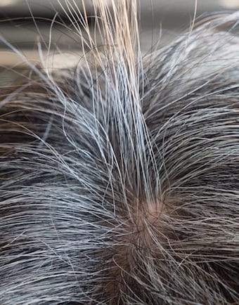 White and greying hair on a head